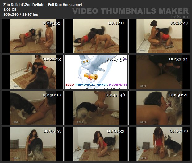 cachorro gozando fodas com animais pinto de cavalo Mulher Transando Com Cachorro Vídeo de sexo bestial grátis pornô zoofilia com oral Porno Bizarro - Sexo Gratis